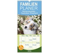 Familienplaner 2026 - Herzensaussies - Australian Shepherd mit 5 Spalten (Wandkalender, 21 x 45 cm) CALVENDO: Aussies- fotografiert von Madlen Kudla