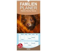 Familienplaner 2026 - Kleine freche Nerze mit 5 Spalten (Wandkalender, 21 x 45 cm) CALVENDO: Niedliche Wirbelwinde mit flinken Pfoten und frechem Charme, die stets für Überraschungen gut sind.