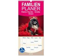 Familienplaner 2026 - Kleine Hunde - Große Diven mit 5 Spalten (Wandkalender, 21 x 45 cm) CALVENDO: Kleine Hunde werden zu glamourösen Stars