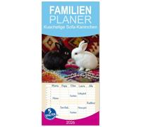 Familienplaner 2026 - Kuschelige Sofa-Kaninchen mit 5 Spalten (Wandkalender, 21 x 45 cm) CALVENDO: Ein gemütlicher Kalender mit Hauskaninchen, die kuscheln, entspannen und das Sofa erobern