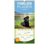 Familienplaner 2026 - Labrador Retriever mit 5 Spalten (Wandkalender, 21 x 45 cm) CALVENDO: Labrador Retriever
