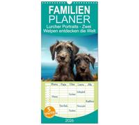 Familienplaner 2026 - Lurcher Portraits - Zwei Welpen entdecken die Welt mit 5 Spalten (Wandkalender, 21 x 45 cm) CALVENDO: Eine bezaubernde Reise ins Reich der Fantasie, nicht nur für Kinder