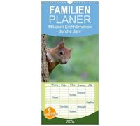Familienplaner 2026 - Mit dem Eichhörnchen durchs Jahr mit 5 Spalten (Wandkalender, 21 x 45 cm) CALVENDO: Eichhörnchen, über das ganze Jahr beobachtet und fotografiert