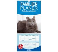 Familienplaner 2026 - Nebelung Katzen mit 5 Spalten (Wandkalender, 21 x 45 cm) CALVENDO: Elegante und sanfte Rassekatzen
