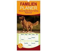 Familienplaner 2026 - Nova Scotia Duck Tolling Retriever mit 5 Spalten (Wandkalender, 21 x 45 cm) CALVENDO: Kleiner charmanter Retriever der Herzen