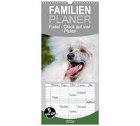 Familienplaner 2026 - Pudel - Glück auf vier Pfoten mit 5 Spalten (Wandkalender, 21 x 45 cm) CALVENDO: Auf 13 traumhaft schönen Fotos zeigt die ... Sigrid Starick diese alte schöne Hunderasse