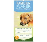 Familienplaner 2026 - Rhodesian Ridgeback 2026 mit 5 Spalten (Wandkalender, 21 x 45 cm) CALVENDO: Zwölf wunderschöne, großformatige Bilder von ... haben, finden Sie in diesem Kalender.