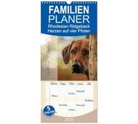 Familienplaner 2026 - Rhodesian Ridgeback - Herzen auf vier Pfoten mit 5 Spalten (Wandkalender, 21 x 45 cm) CALVENDO: Herzen auf vier Pfoten