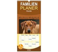 Familienplaner 2026 - Rhodesian Ridgeback Terminkalender mit 5 Spalten (Wandkalender, 21 x 45 cm) CALVENDO: Monatlicher Terminplaner mit wunderschönen Rhodesian Ridgeback Fotografien.