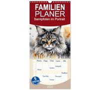 Familienplaner 2026 - Samtpfoten im Portrait mit 5 Spalten (Wandkalender, 21 x 45 cm) CALVENDO: Zauberhafte Ki-generierte Aquarelle für alle Katzenliebhaber