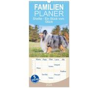 Familienplaner 2026 - Sheltie - Ein Stück vom Glück mit 5 Spalten (Wandkalender, 21 x 45 cm) CALVENDO: In 13 wunderschönen Fotos stellt die ... Starick diese liebenswerte Hunderasse vor.