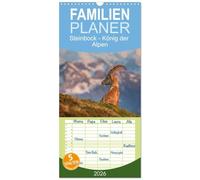 Familienplaner 2026 - Steinbock - König der Alpen mit 5 Spalten (Wandkalender, 21 x 45 cm) CALVENDO: Der Alpensteinbock gilt als König der Alpen