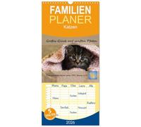 Familienplaner 2026 - Tierschutzkatzen vom TSV-Neuss - Großes Glück auf sanften Pfoten mit 5 Spalten (Wandkalender, 21 x 45 cm) CALVENDO: Pflegekatzen ... Schützlinge vom Tierschutzverein Neuss e.V.