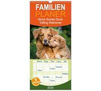 Familienplaner 2026 - Toller - Nova Scotia Duck Tolling Retriever mit 5 Spalten (Wandkalender, 21 x 45 cm) CALVENDO: Ein Kalender mit 13 wunderschöne ... von dieser Hunderasse erneut verzaubern.