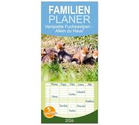Familienplaner 2026 - Verspielte Fuchswelpen - Allein zu Haus' mit 5 Spalten (Wandkalender, 21 x 45 cm) CALVENDO: Fuchswelpen entdecken die Welt
