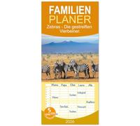 Familienplaner 2026 - Zebras - Die gestreiften Vierbeiner. mit 5 Spalten (Wandkalender, 21 x 45 cm) CALVENDO: Komm mit auf eine Reise zu den Zebras