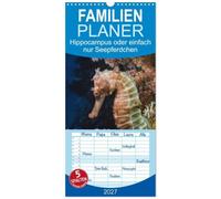 Familienplaner 2027 - Hippocampus oder einfach nur Seepferdchen mit 5 Spalten (Wandkalender, 21 x 45 cm) CALVENDO: Seepferdchen sind beim Tauchen ... Meeresbewohner in ihrer ganzen Schönheit.