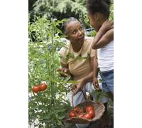Family Secrets: Breaking Generational Curses