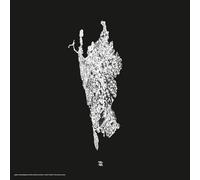 family$ stroboscopic various artists-v five years of artefact