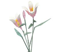 Famiredo Kit di fiori di giglio per adulti, set di mini mattoni da costruzione, idea regalo, decorazione per la casa, collezione botanica (rosa)
