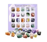 FAMKIT Roccia Minerale Varietà Tumbled Pietra, Rocce di Raccolta 20Pcs Rock E Educazione Set Pietre Preziose- Orso Rock E Geologia Minerale Minerale di Istruzione di Raccolta