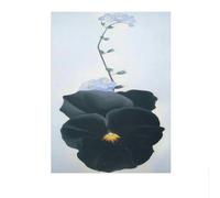 Famoso Poster di Georgia O'Keeffe, Dipinto su Tela, Pansy, Arte murale, Georgia O'Keeffe, Dipinto e Stampa per la casa, Soggiorno, Immagine Decorativa 50x70cmx1 Senza Cornice