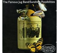 Famous Jug Band, the - Sunshine Possibilities