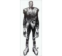 Famous Monsters Frankenstein 1962 Poster (14 X 36) 14BMB432