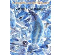 FAMOUS PLANET EARTH CAVES Vol. 4 Zahnloch Cave (Germany) - Mid-Pleistocene Cave Bear Den, and Celtic Site