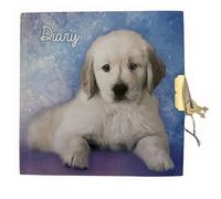 FAMU Land Taccuino per bambina e ragazzo. Taccuino piccolo da viaggio 135 x 135 mm con lucchetto. Bel regalo di compleanno per bambini e Natale. 6 7 8 9 10 Anni. Diario segreto. Carino Notebook (Blu)