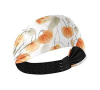 famyily Art Cape Uva spina Frutta Bianco antiscivolo grandi fasce per le donne Testa elastica per le donne per il trucco Allenamenti Ciclismo Uso quotidiano Colorato Duchshund Dog Stars