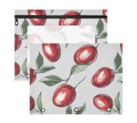 famyily Astuccio portatile per matite, per lettere formato A4, confezione da 2 pezzi, per studenti, forniture artistiche, frutta fresca e giuggiola, argento