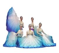 Fan Veils Danza del Ventre,Fan Veils 2 pezzi di velo a lisca pesce, ventaglio, oggetti scena for spettacoli danza popolare, adorazione, lode, cartilagine, colore sfumato, luce grande 60 cm(White-Blue)