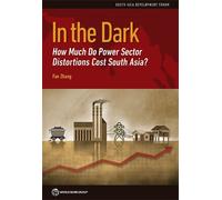 Fan Zhang In the Dark (Tascabile) South Asia Development Forum