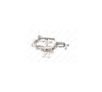 PRASCO MZ3334314 Indicatore di direzione