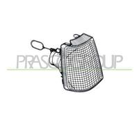 Prasco OP0274113 - Indicatore Direzione