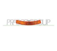 PRASCO DS9604104 Indicatore di direzione