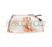 Luce Indicatori PRASCO Per FIAT PUNTO (176_)