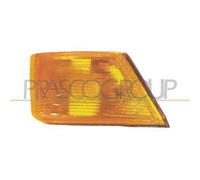 PRASCO FT9264104 Lente, Indicatore direzione