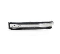 Fanale Fanalino Freccia per Hyundai per Tucson 2016-2019 Indicatore di Direzione Esterno per Specchietto Retrovisore Laterale 87613D3000 87623-D3000(Only Left)
