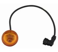 Freccia laterale arancio ovale P21/5W bilaterale per Mercedes Atego 1998-2004