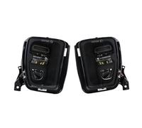 Fanale Fendinebbia Per Dodge Per Ram 1500 2013 2014 2015 2016 2017 2018 Fari fendinebbia a LED Paraurti Fendinebbia di guida Fendinebbia