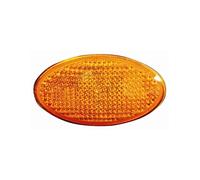 Fanale freccia laterale arancio bilaterale per Mini 09/2001-08/2004
