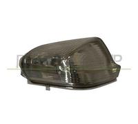 Fanale Fume' Retrovisore Destro Mercedes Sprinter 2006/2013 Lato Dx 2e0953050a