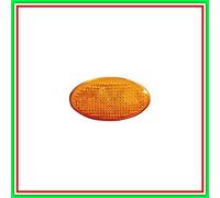 Fanale Laterale Destro-Sinistro Arancio Senza Porta Lampada Mini Mini (Bmw) R50R