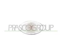 Fanale laterale destro/sinistro bianco cooper s Mini BMW R50 R53 2001-2006