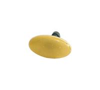 PRASCO Indicatore direzione FT1134039