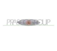 PRASCO TY3204042 Indicatore di direzione