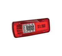 FANALE POST SINISTRO CON CONNETTORE LATERALE E LUCE TARGA - IVECO - Stralis 2013