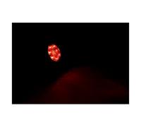 Fanale posteriore a led stile bates nero lente fumé